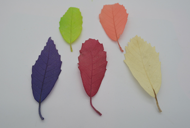 云南永生花花材批发 昆明保鲜花