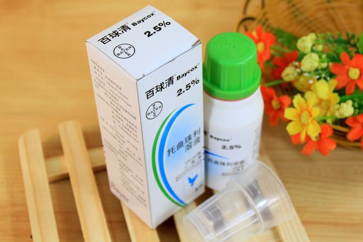 德国拜耳/百球清/动物球虫驱虫药100ml/口服驱虫/犬猫可用