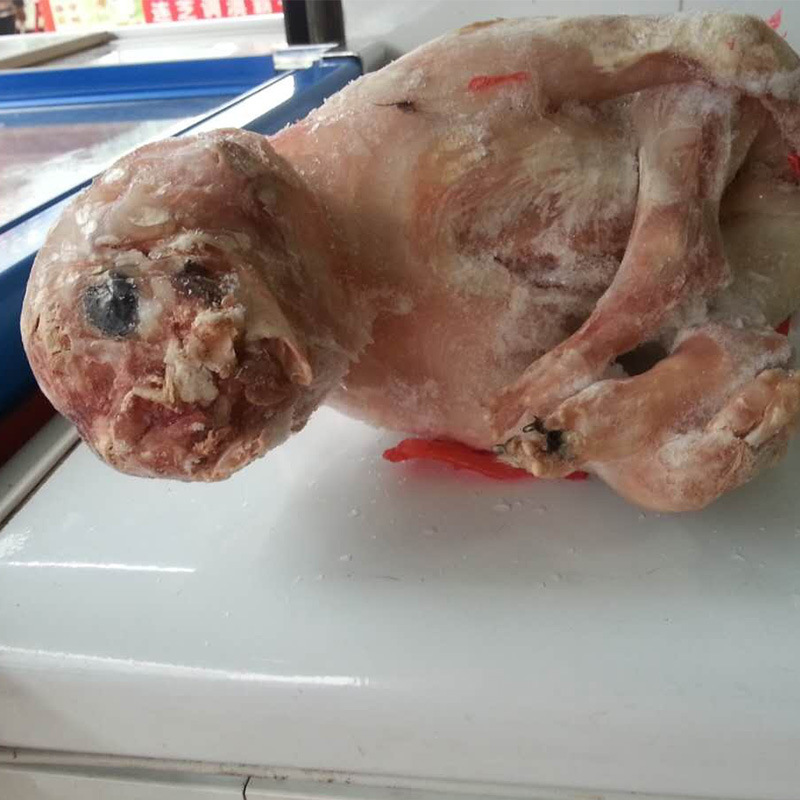 香围子 每斤12元