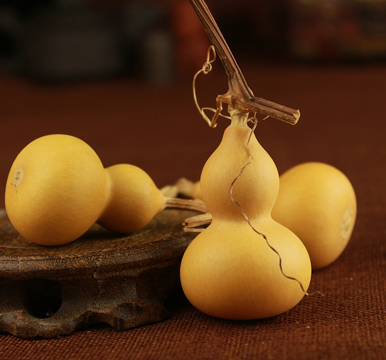 美国天然小葫芦带龙头摆件把玩件文玩工艺葫芦手捻葫芦批发葫芦