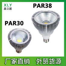 PAR38灯 15W PAR灯 E27 LED射灯 铝材 LED珠宝灯 COB射灯 厂家