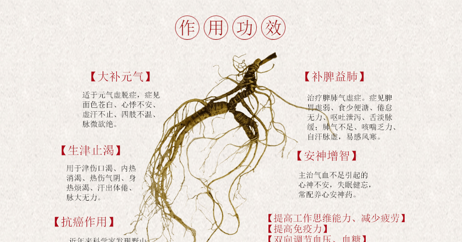 人参的功效与作用吃法图片