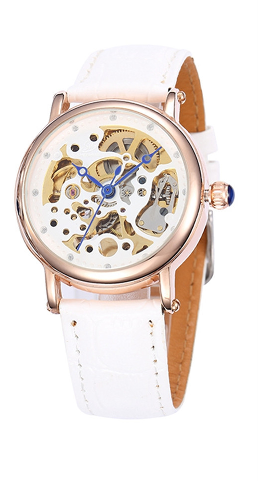 shenhua绅华 女士时尚休闲瑞士镂空自动机械表批发