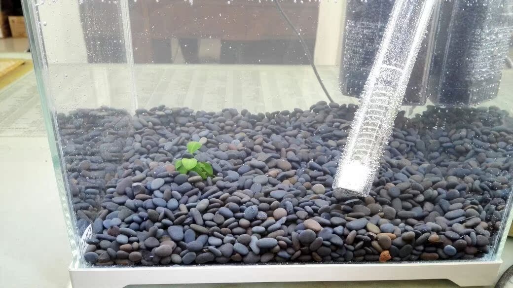 黑工砂 铁胆沙 石子 水族箱造景 鱼缸装饰 乌龟缸底砂 河沙包邮