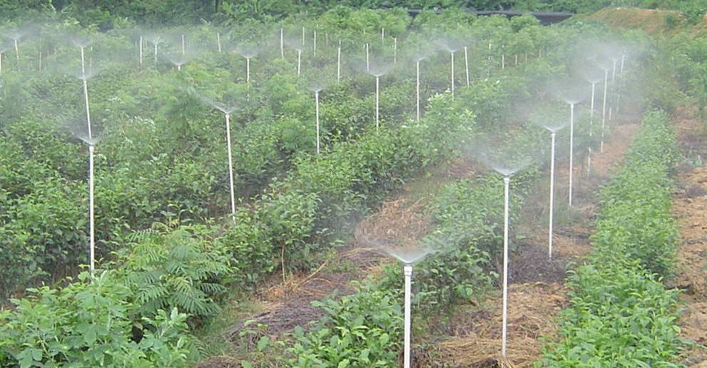 厂家直销铜头喷头优质园林用品喷灌设备低价促销微喷灌微喷