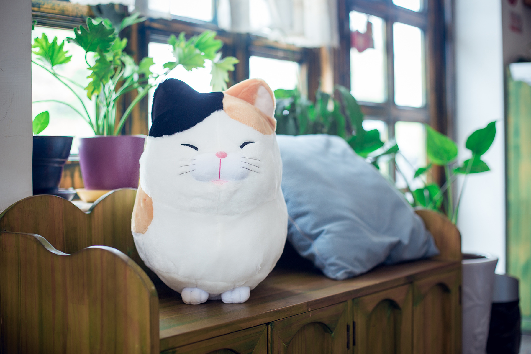 amuse胡子馒头福气猫招财猫咪喵星人毛绒玩具公仔跨境热销产品