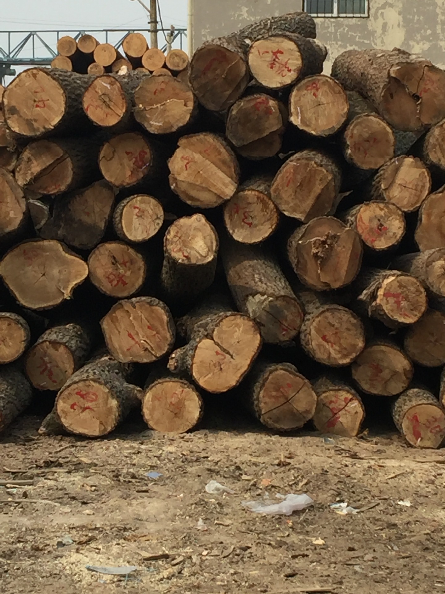 核桃楸实木家具