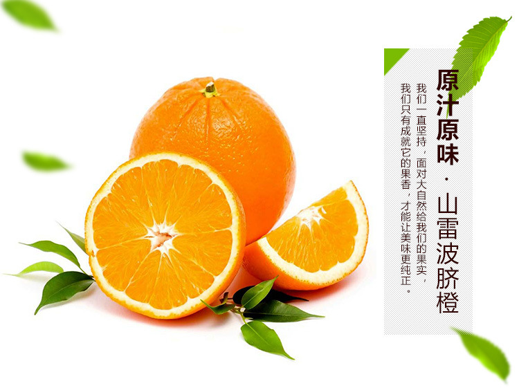 四川大凉山雷波脐橙 新鲜纽荷尔橙子 自然无公害