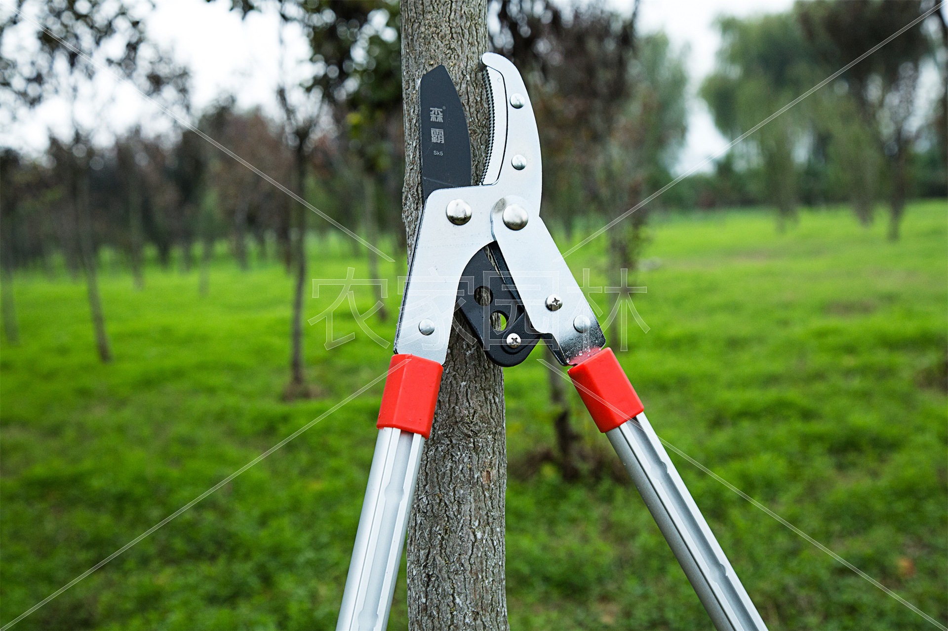 伐木园林大力剪刀 铝合金手把弯头果树高枝剪 可伸缩花木粗枝剪