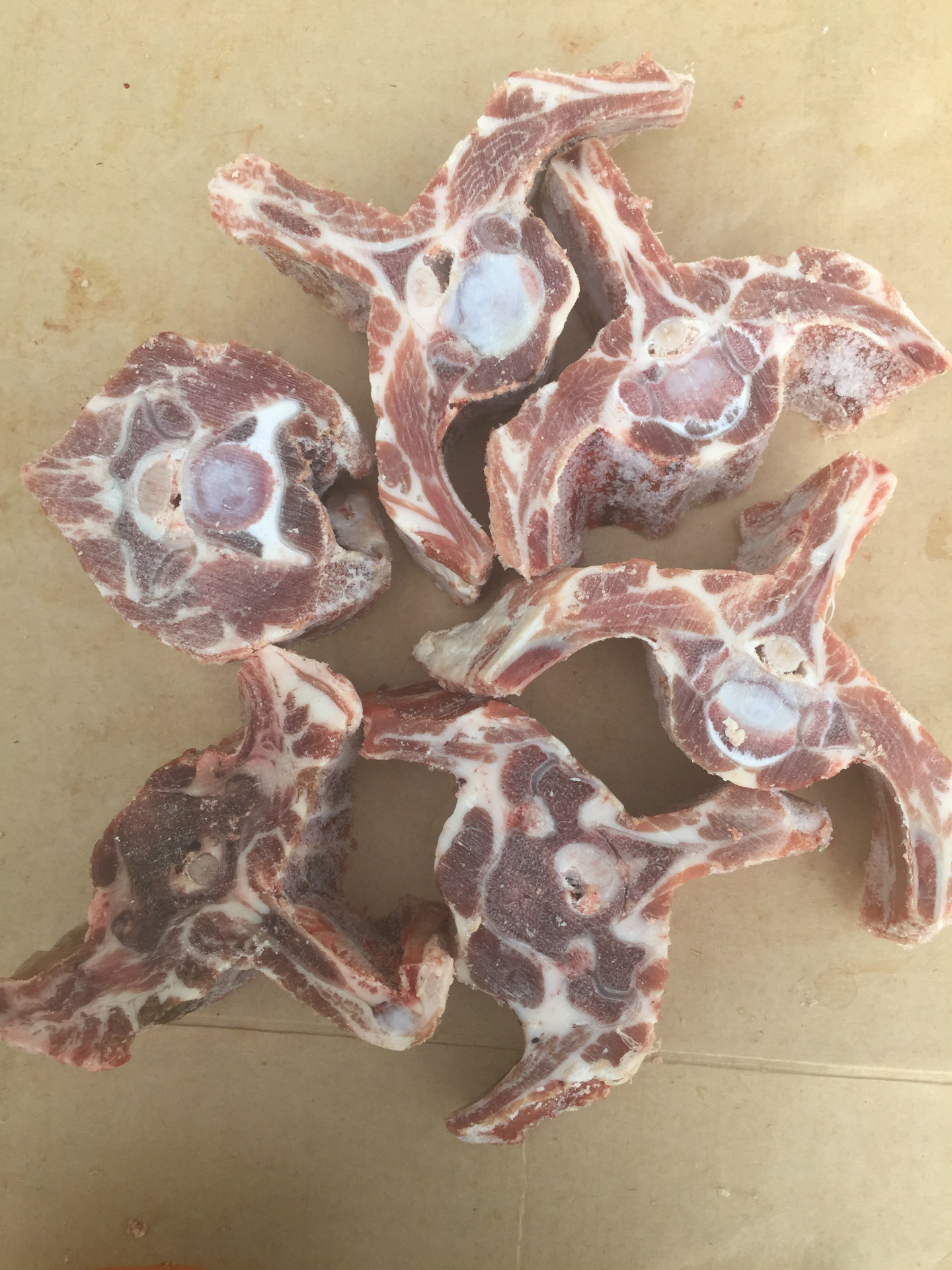 大量批发正宗内蒙古新鲜生羊蝎子 纯正羊脊骨 火锅食材生羊蝎子