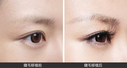 厂家直销假睫毛十对装11号手工磨尖卷翘裸