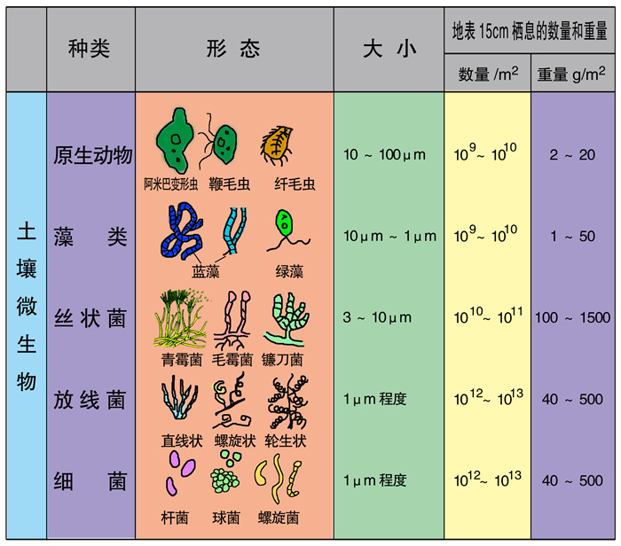 收入证明范本_支出收入表格_小企业收入原因