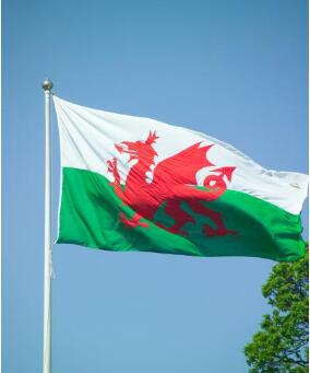 欧洲杯现货小额批发四号国旗90*150cm威尔士国旗4号涤纶旗帜