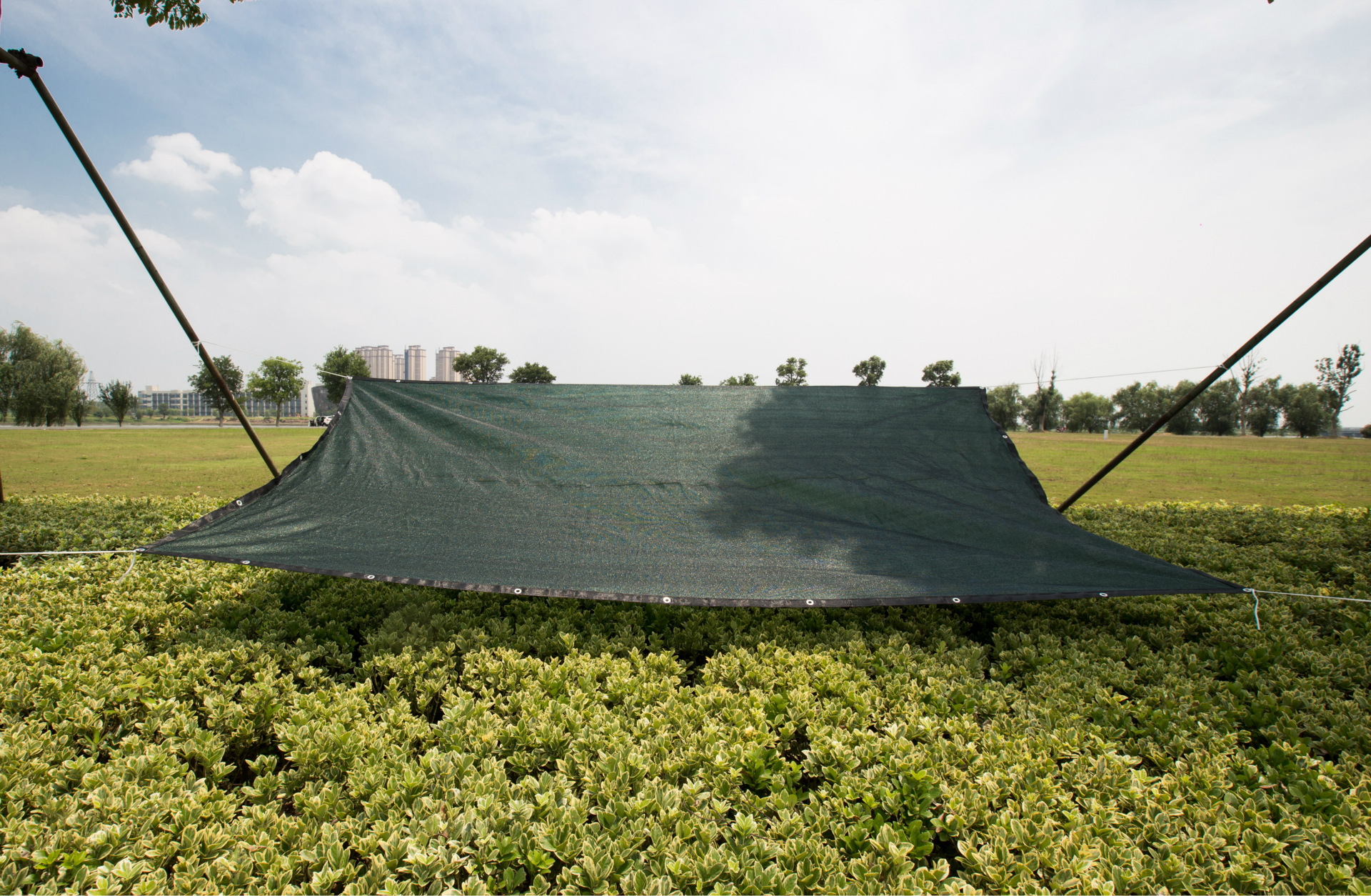 黑色大棚遮阴网 外遮阳网 3-4年价格优惠遮阳网 常州苏茂塑料