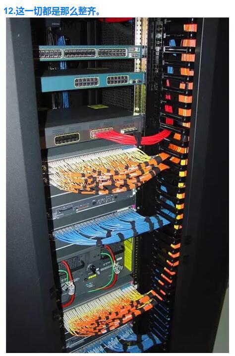 德国电工整理的电线美呆了!