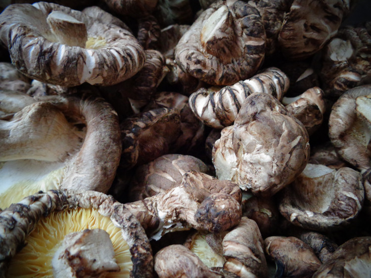 超群特农随家深山沟农家香菇土特产干货花菇肉厚味鲜