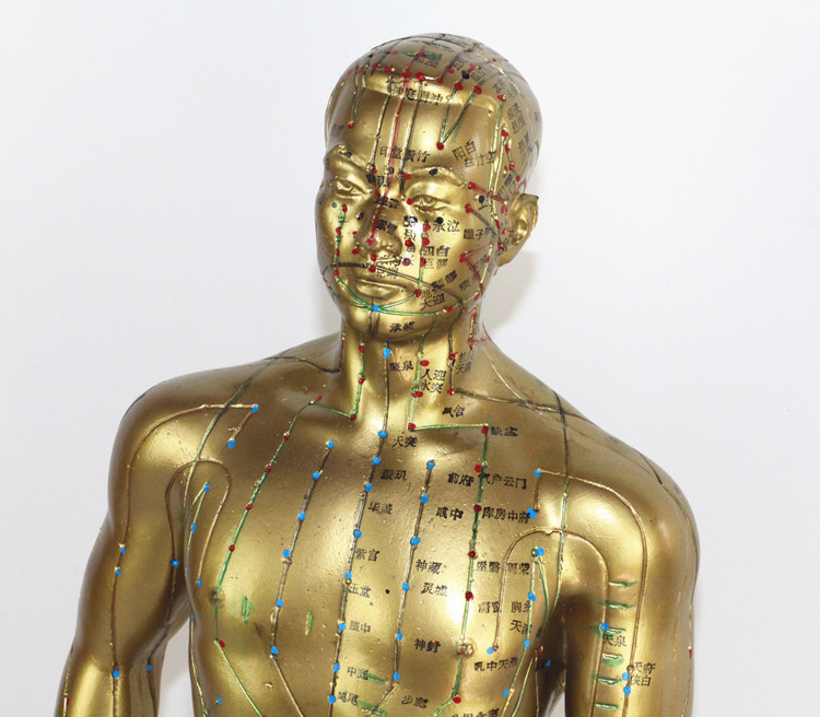 星寿品牌45cm高人体针灸铜人模型豪华版针灸穴位模型经络通模型