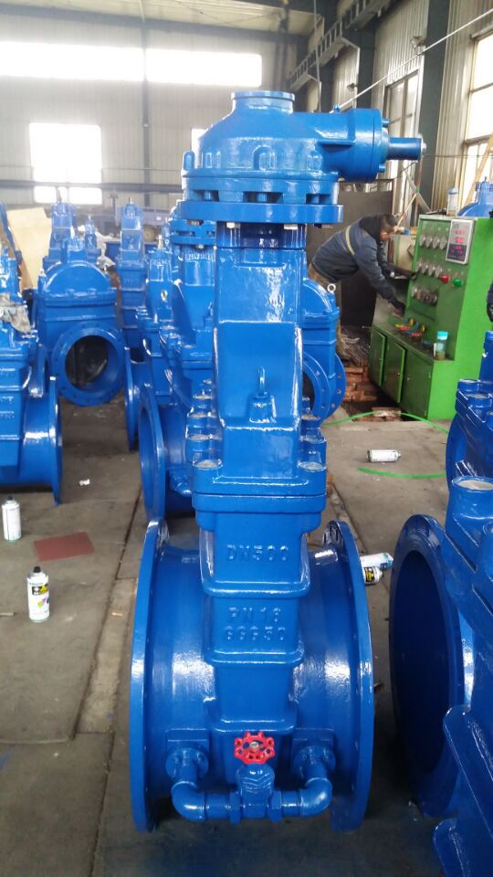 大口径 涡轮 橡胶闸阀 厂家直销 品质保证 河北华汇阀门有限公司