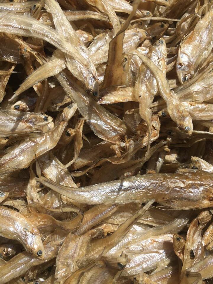 鄱阳湖野生毛刀鱼 江湖靠地产品 十元一