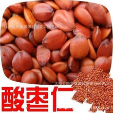 批发酸枣仁种子 酸枣酸枣核质量可靠发芽率高 果树中药材种子
