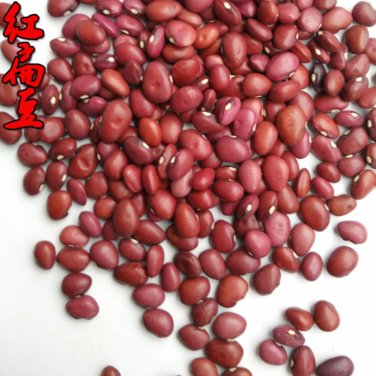供应销售英国红扁豆 成都农产品 农家自产新货 散装批发