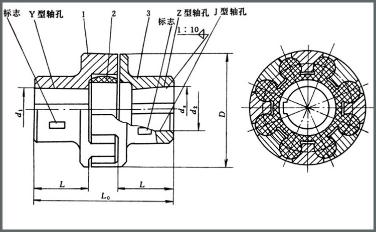 厂家批发 联轴器 梅花联轴器/弹性联轴器/挠性联轴器 品质可靠
