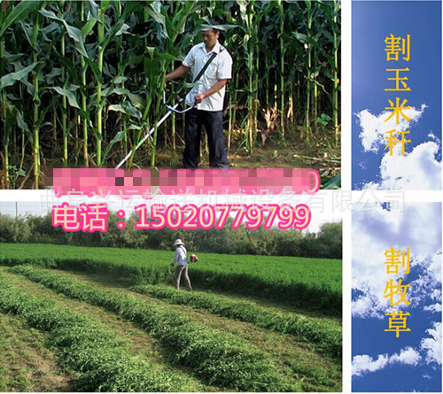 QQ图片20140708152801_副本_副本