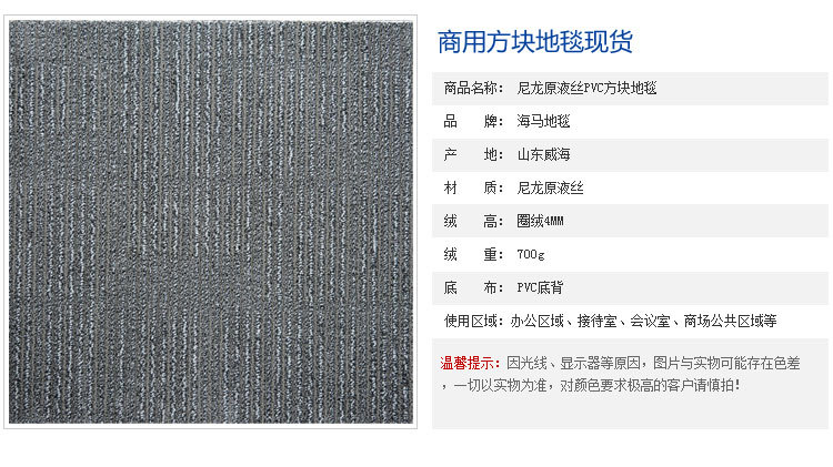 海马地毯 尼龙方块地毯 办公室50*50cm方块地毯