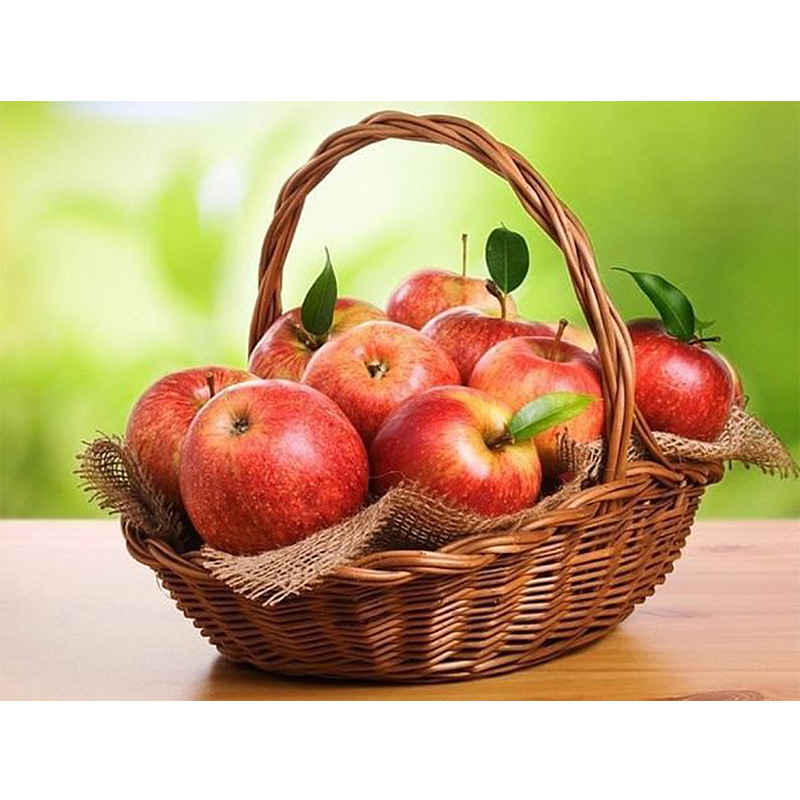 布艺diy水果图片