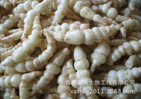 西安进货日期2016-11-22保质期730天原料与配料草石蚕主要功效祛风