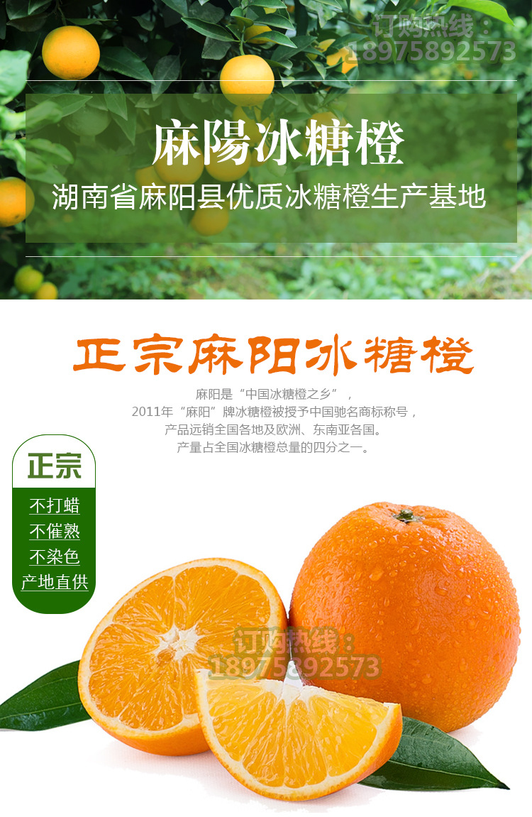 湖南特产麻阳冰糖橙 时令水果10斤装包邮 自家果园一件代发.