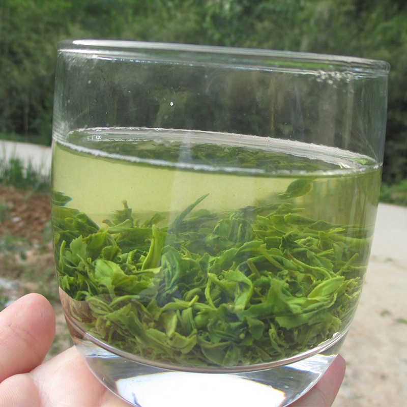 2016新茶汉中炒青陕西茶叶西乡炒青250g/500g厂家直销鲜甜干爽