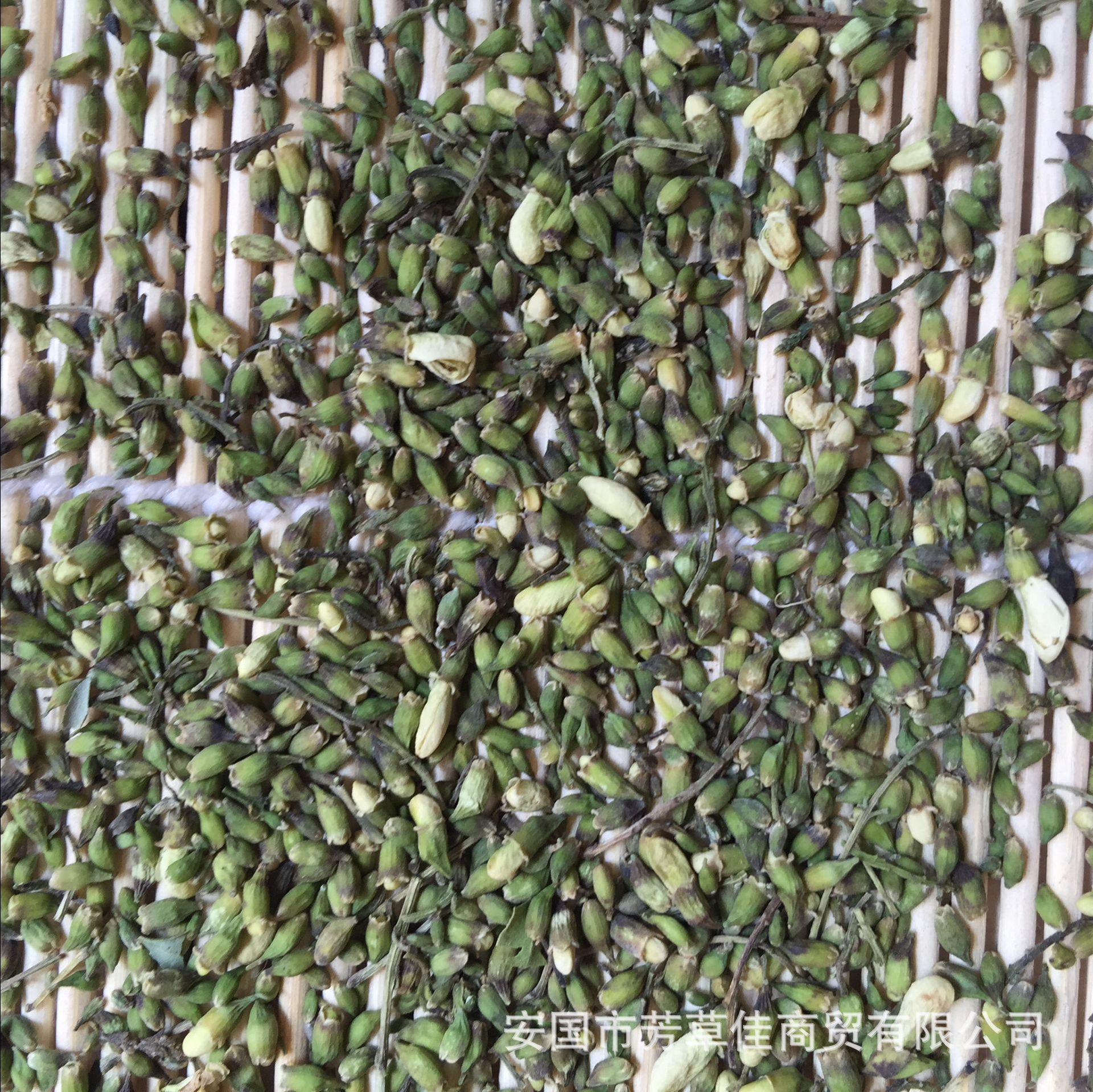 批发中药材槐米 白槐 槐花米 槐籽