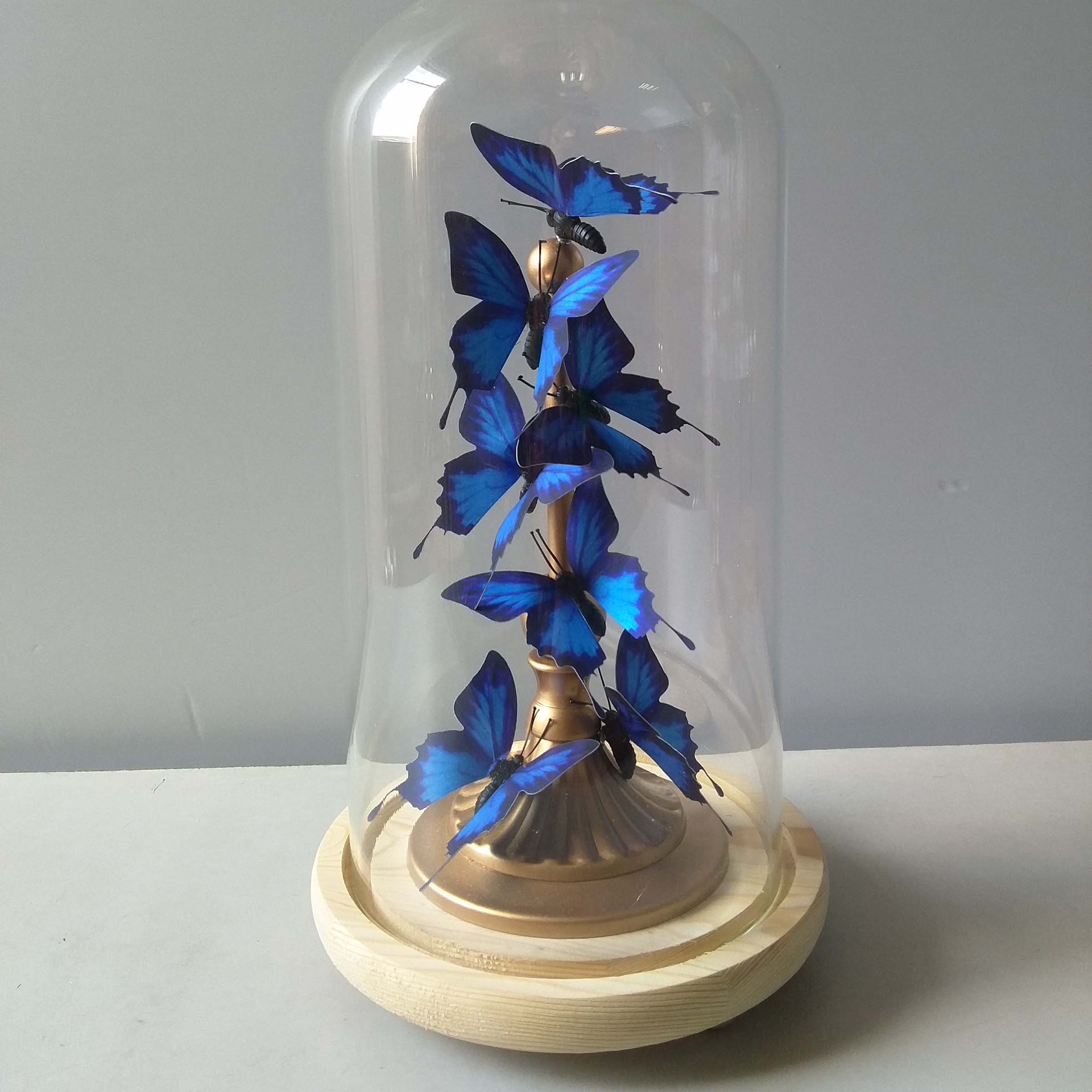 批发多材质工艺品玻璃罐蝴蝶铁艺书房卧室玄关客厅家居摆件