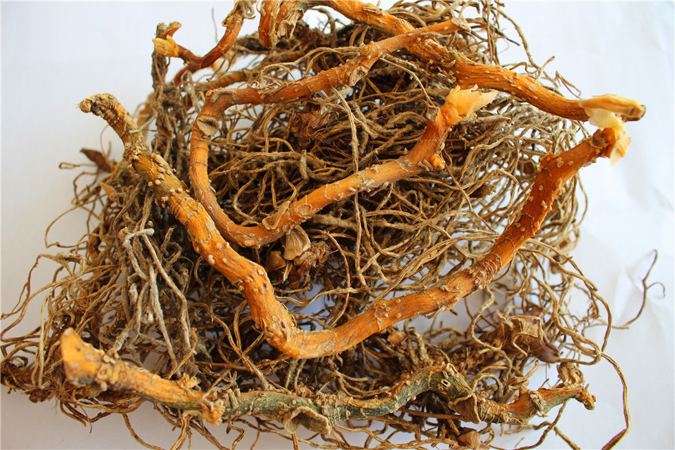 入地蜈蚣 产地直销 中药 中药材 中药批发