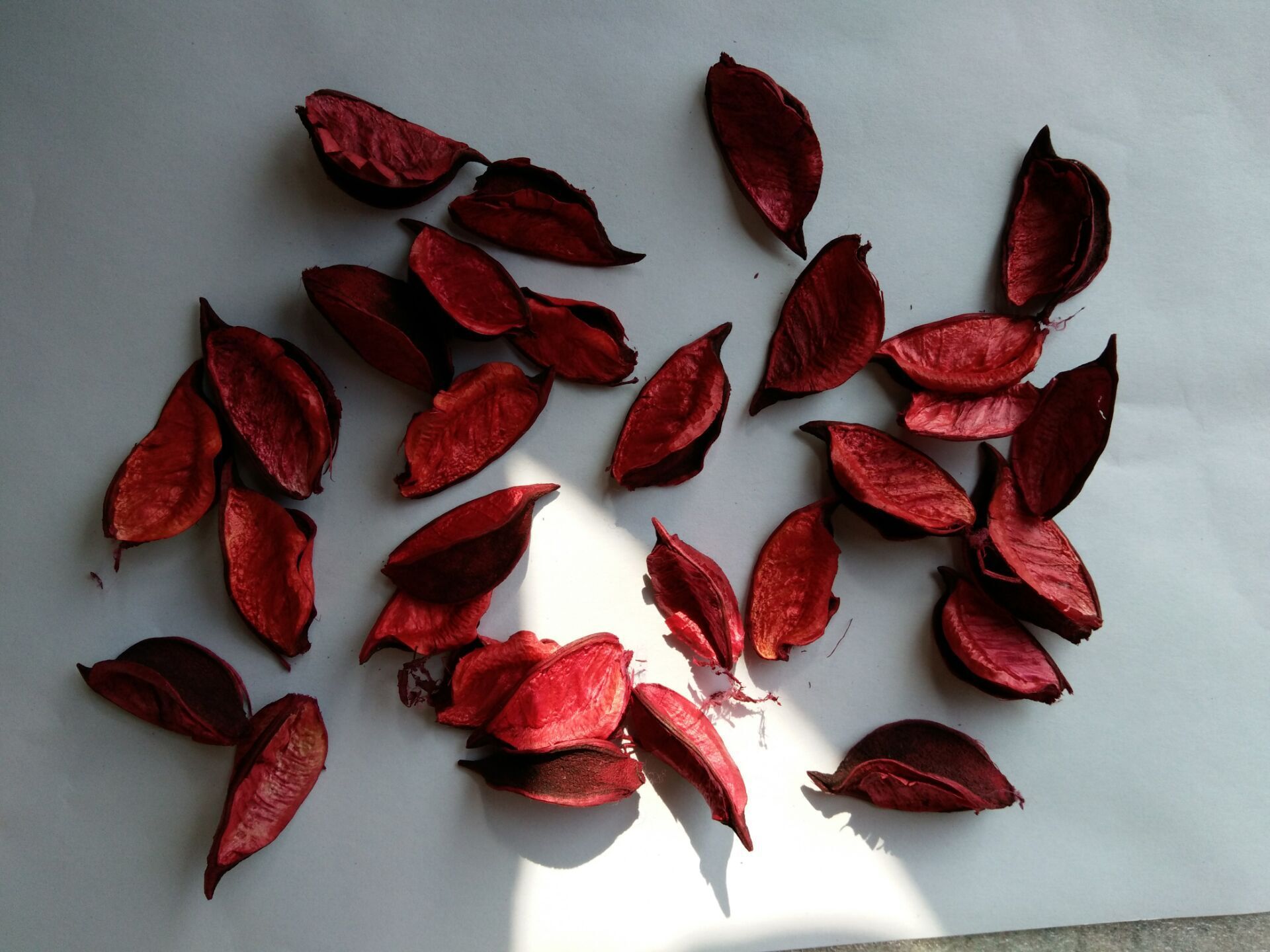 橙色棉花壳批发供应干花七色可选 可加香化妆柜台酒店装饰