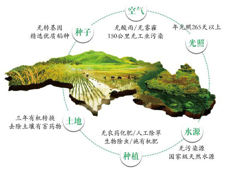 5kg**食品四川东北五常新.