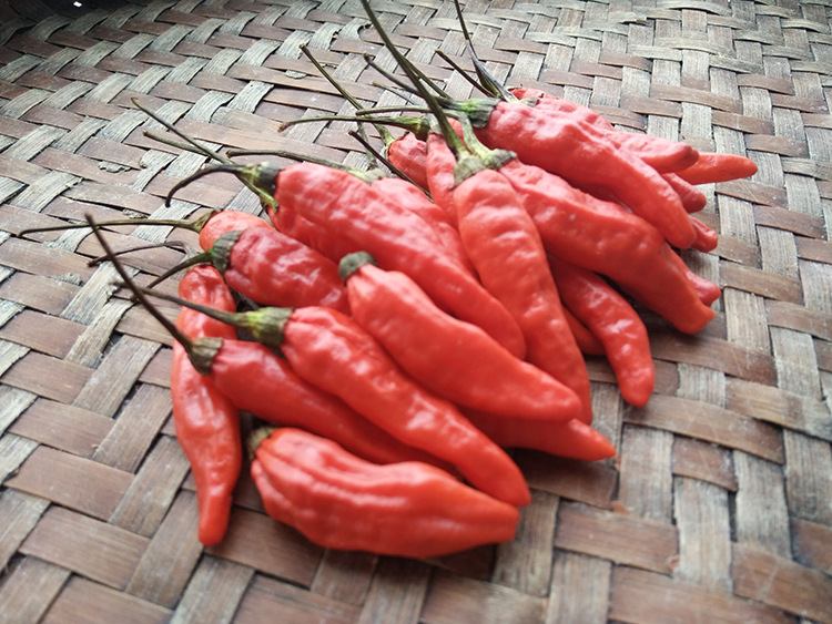 批发野山椒干辣椒泡山椒干干辣椒王石城农家干货1斤起批