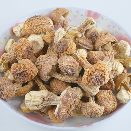 现货批发土特产食用菌特级姬松茸巴西菇干货优质菌类食品500g