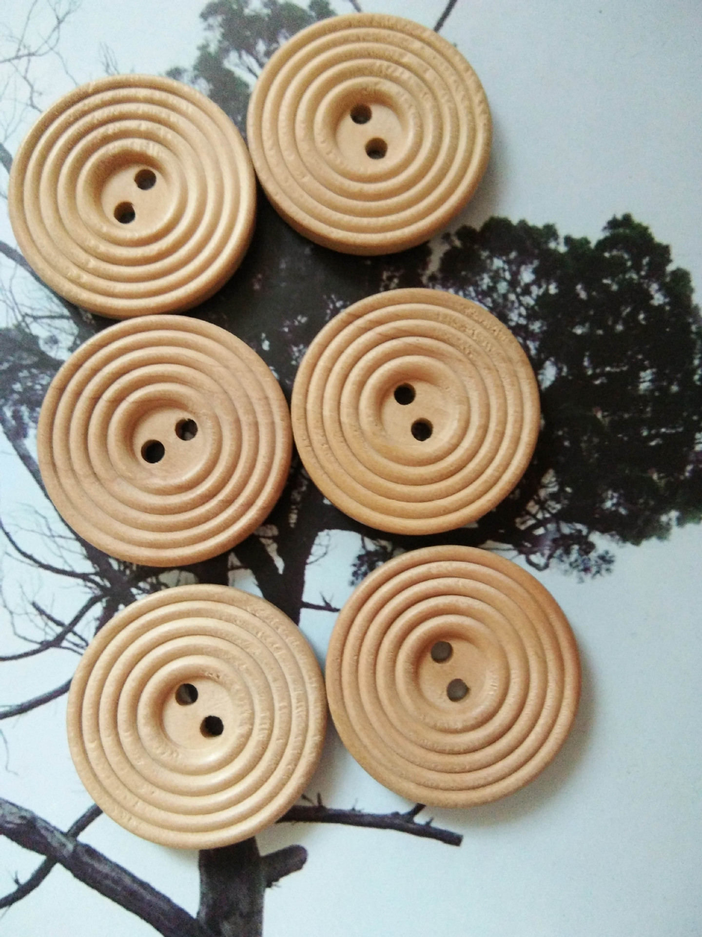 厂家直销批发纽扣天然螺旋纹木头扣外套扣子服装辅料可定做