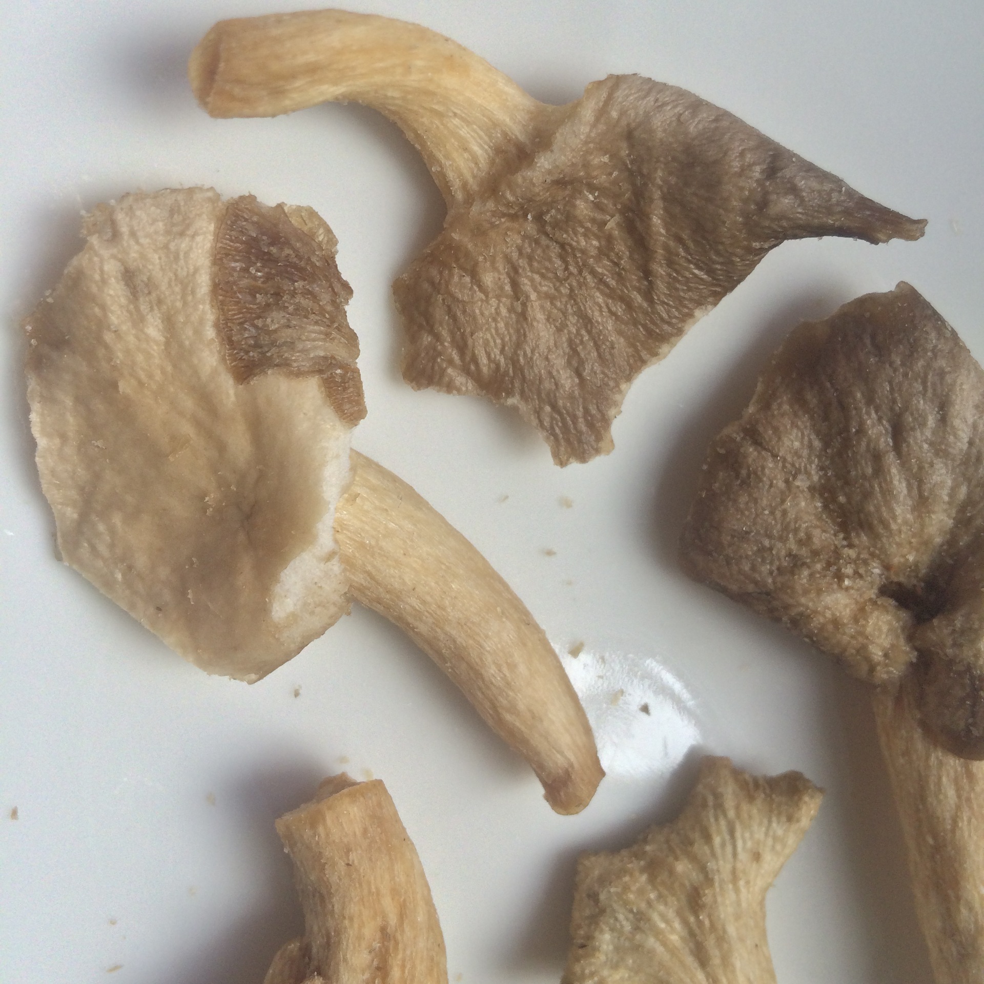 即食秀珍菇脆 凤尾菇干 散装批发 原味和香辣两种口味可选