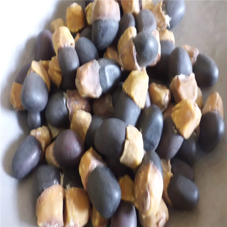 缅茄菩提子6元1斤100斤包邮物流费50公斤起全国大部分地区包邮