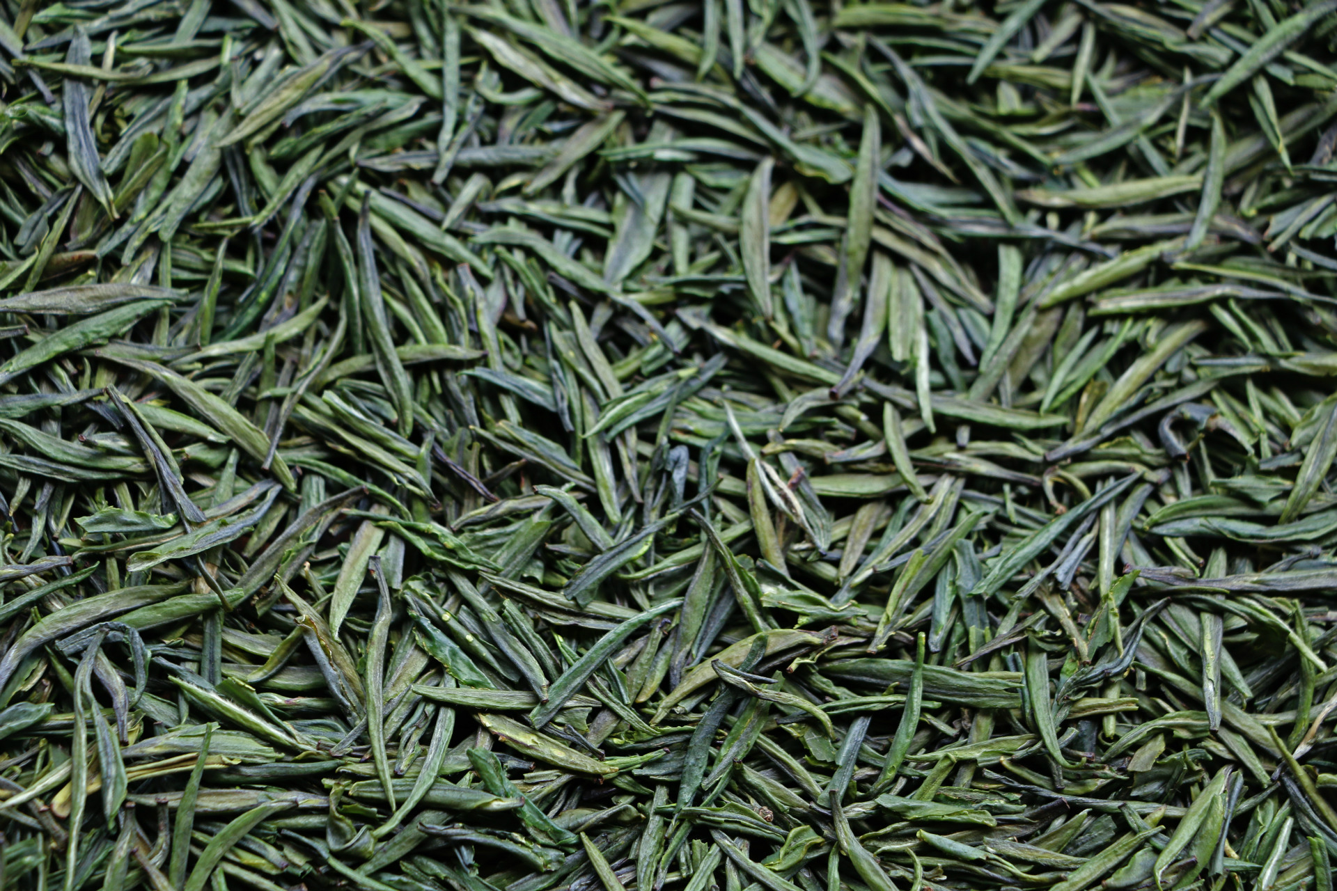 竹叶青绿茶 恩施高山雨*茶 茶园-茶叶加工流水生产商 厂家.