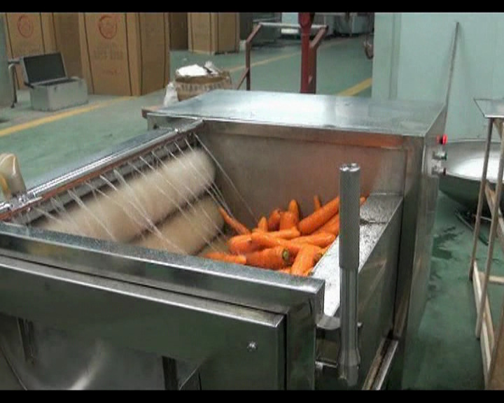 韩国萝卜清洗机 根茎类果蔬去皮机 304不锈钢材质