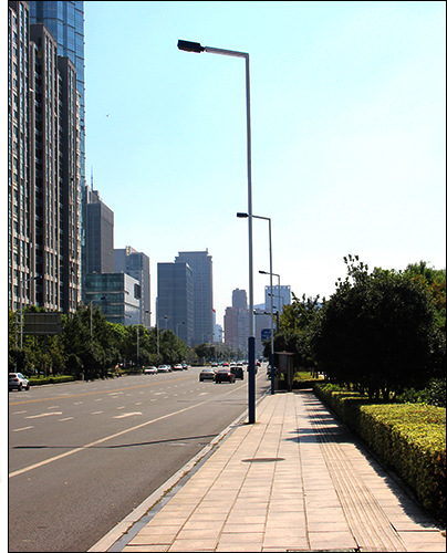 热销户外路灯道路路灯30w小金豆40w火炬路灯 新农村工程led路灯