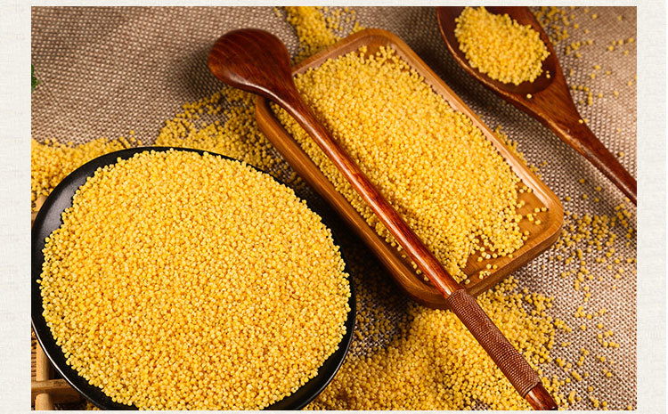 新五谷磨房农家谷子黄小米有机小米 优质小黄米原料批发50.