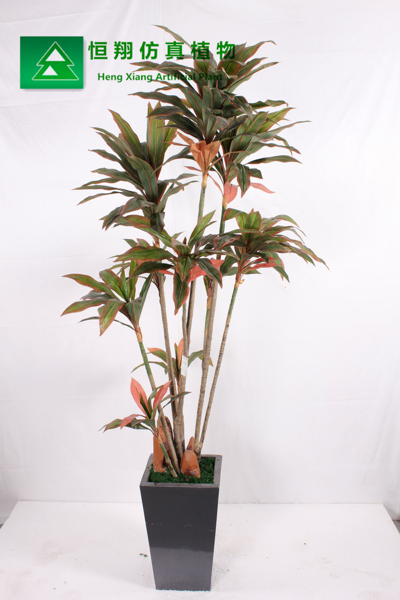 仿真金心巴西铁树 香龙血树盆栽 富贵叶仿真绿植装饰布景