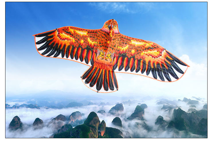 批发潍坊风筝新款热印肚兜平面前杆刚鹰老鹰风筝儿童三角厂家保飞