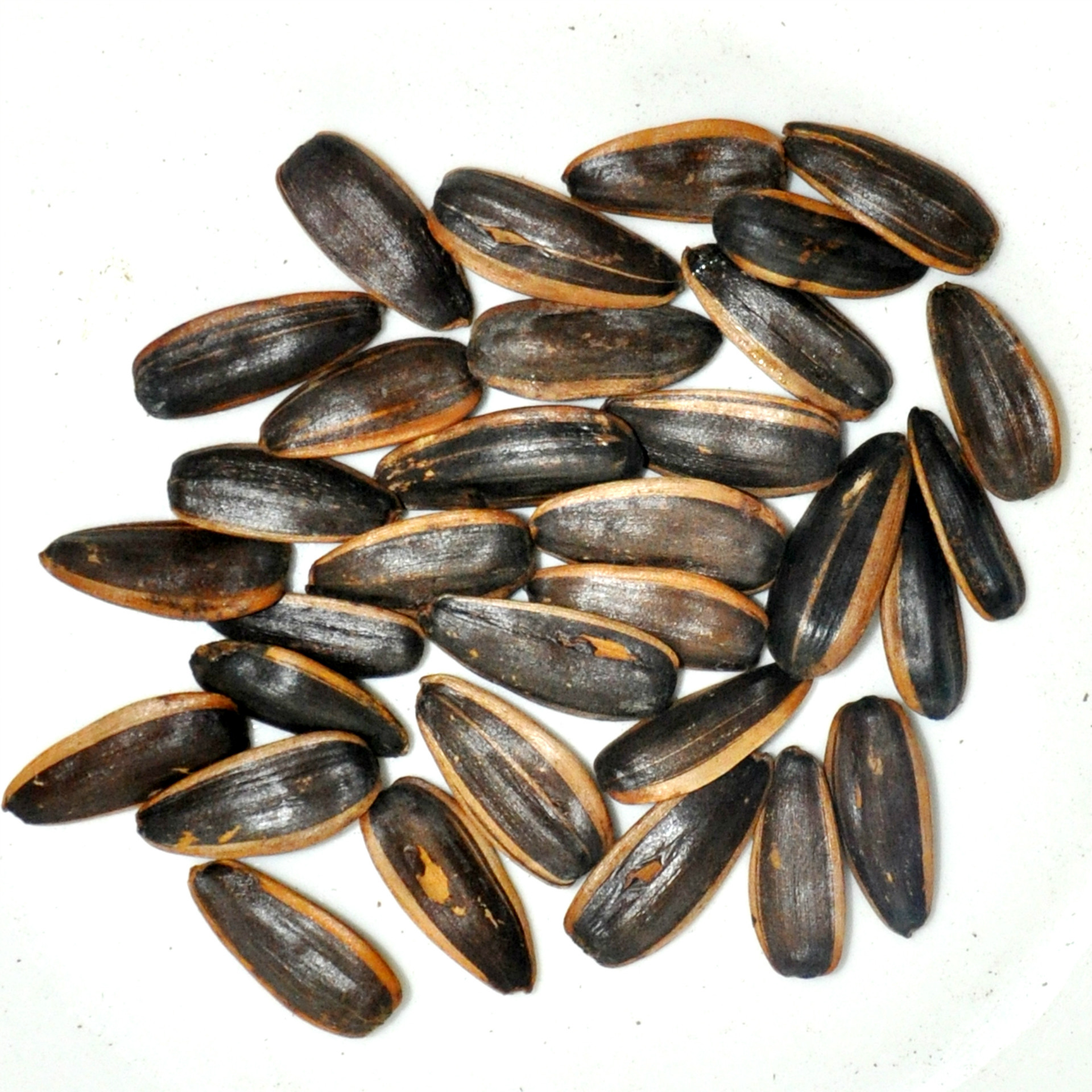 散装瓜子批发 厂家供应休闲食品 零食炒货 散货水果味a级葵花籽