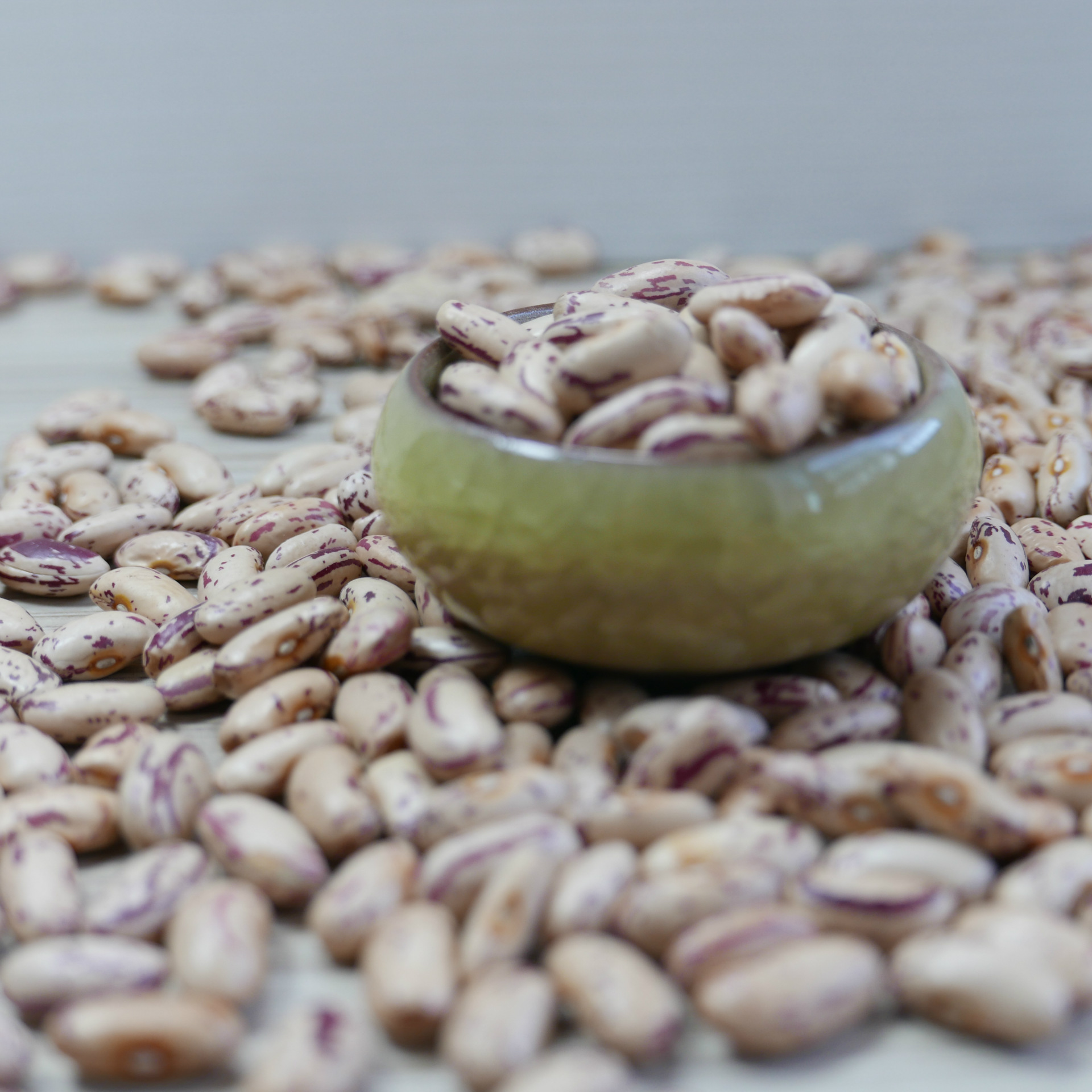 【阿里巴巴】供应2016新奶花芸豆 优质品种